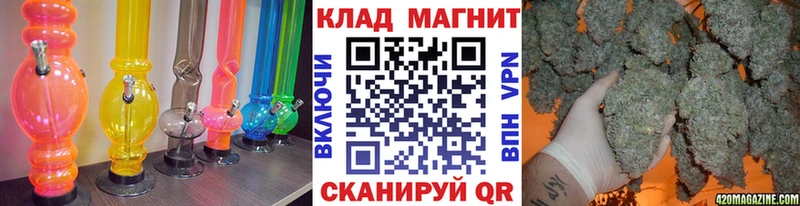 Псилоцибиновые грибы Тбилисская