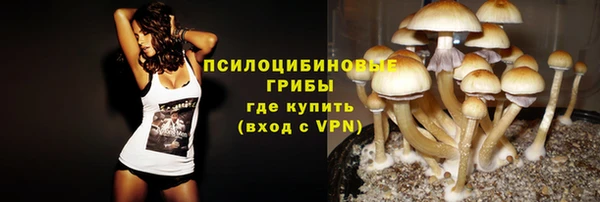 apvp Бронницы