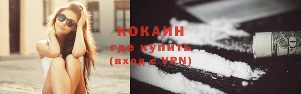 ALPHA PVP Бородино