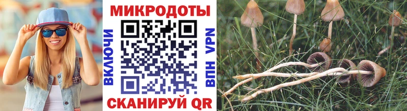 Галлюциногенные грибы Magic Shrooms  Тбилисская 