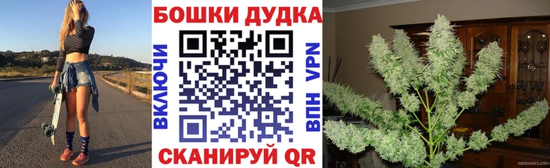 купить наркотики цена  Тбилисская  Каннабис OG Kush 